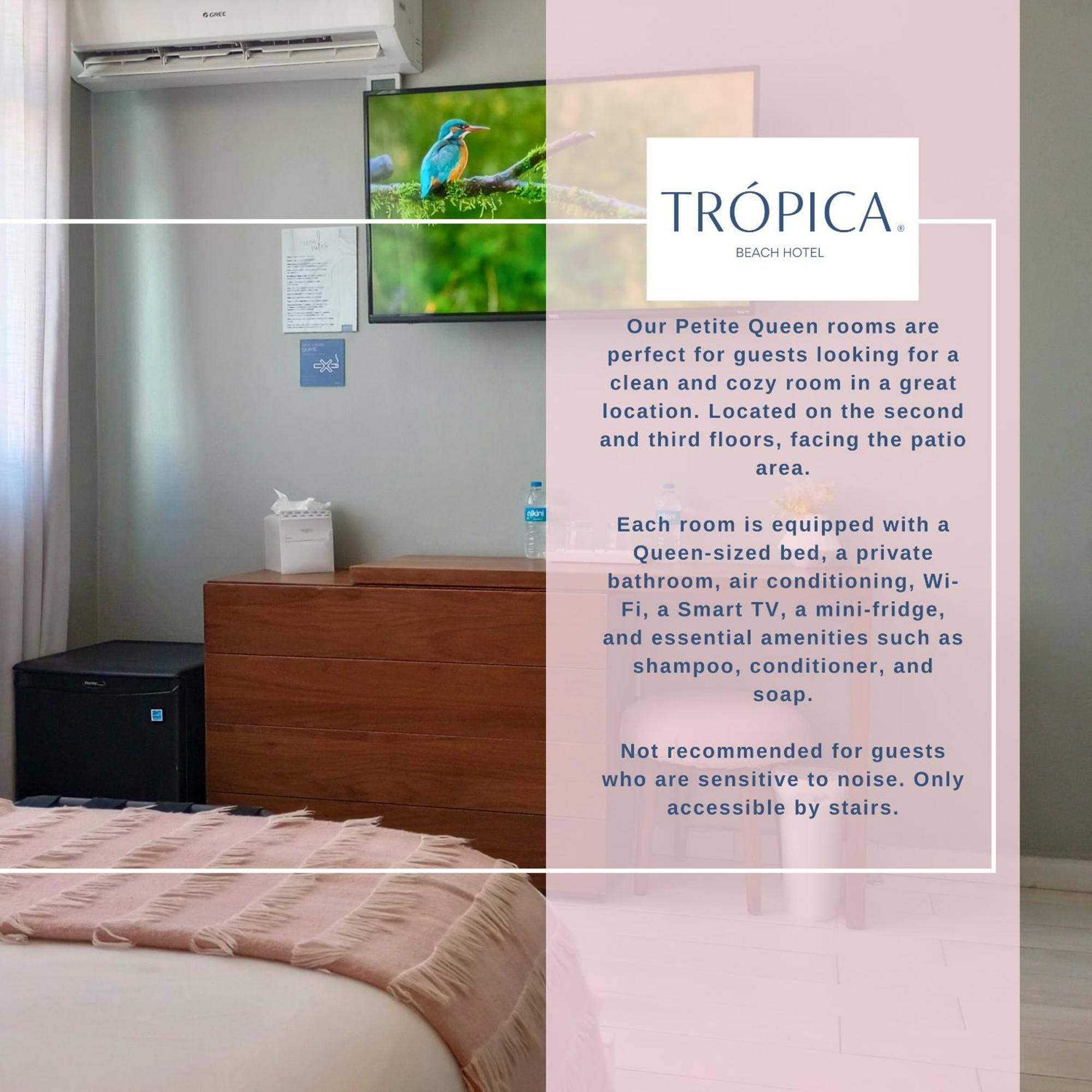 Tropica Beach Hotel (Adults Only) Сан Хуан Стая снимка